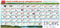 Стенд "Красная книга РФ" - «globural.ru» - Брянск