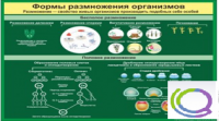 Стенд "Формы размножения организмов" - «globural.ru» - Брянск