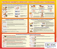 Стенд "Первая доврачебная неотложная помощь" - «globural.ru» - Брянск