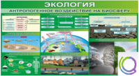 Стенд "Экология. Антропогенное воздействие на биосферу" - «globural.ru» - Брянск