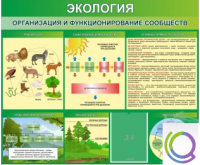 Стенд "Экология. Организация и функционирование сообществ" - «globural.ru» - Брянск