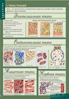 Биология 8-9 класс. Человек. (комплект таблиц) - «globural.ru» - Брянск