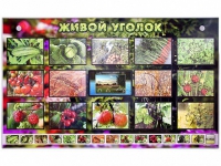 Комплект оборудования "Живой уголок" (растения) с тифлопереводом и сурдокомментариями - «globural.ru» - Брянск