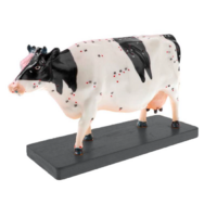 Электрифицированный макет коровы на каркасе - «globural.ru» - Брянск