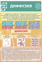 Стенд "Диффузия" - «globural.ru» - Брянск