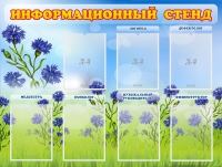 Стенд информационный с 7 карманами - «globural.ru» - Брянск