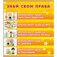 Стенд "Знай свои права" - «globural.ru» - Брянск