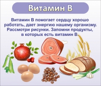 Стенд "Витамин В" - «globural.ru» - Брянск