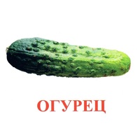 Карточки Домана "Овощи-Зелень-1" - «globural.ru» - Брянск