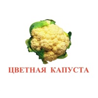 Карточки Домана "Овощи-Зелень-2" - «globural.ru» - Брянск