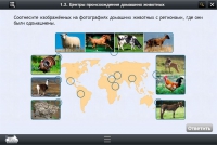 Интерактивные курсы. Биология 7 класс. Расширенный - «globural.ru» - Брянск