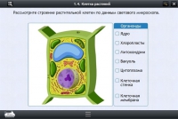 Интерактивные курсы. Биология 9 класс. Базовый - «globural.ru» - Брянск