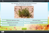 Интерактивные курсы. Окружающий мир 3 класс. Базовый - «globural.ru» - Брянск