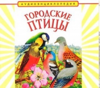 CD "Аудиоэнциклопедия. Городские птицы" - «globural.ru» - Брянск