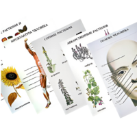 Таблицы по природоведению 1-3 класс - «globural.ru» - Брянск