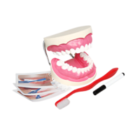 Игровой комплект "Чистим зубы" - «globural.ru» - Брянск