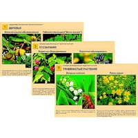 Гербарий фотографический "Ядовитые растения" - «globural.ru» - Брянск