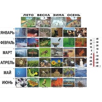 Фенологические наблюдения - «globural.ru» - Брянск