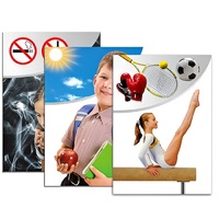 Модель-аппликация "Здоровье человека" - «globural.ru» - Брянск