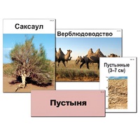 Модель-аппликация "Природные зоны России" - «globural.ru» - Брянск