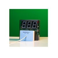 Датчик температуры с независимой индикацией (термометр демонстрационный) - «globural.ru» - Брянск