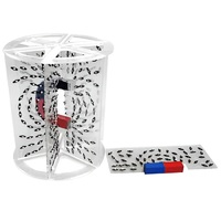 Модель для демонстрации в объеме линий магнитного поля  (вариант 1) - «globural.ru» - Брянск