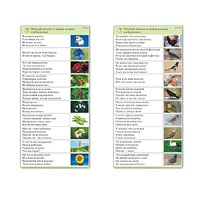 Комплект карточек (10) "Обучающий калейдоскоп. Природа" - «globural.ru» - Брянск