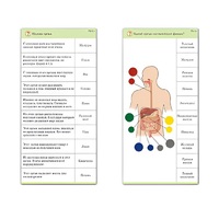 Комплект карточек (10) "Обучающий калейдоскоп. Человек" - «globural.ru» - Брянск