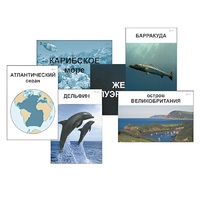 Модель-аппликация "Океаны. Знакомство" (ламинированная) - «globural.ru» - Брянск
