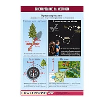 Таблица демонстрационная "Ориентирование на местности" (винил 70х100) - «globural.ru» - Брянск