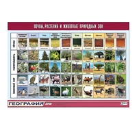 Таблица демонстрационная "Почвы, растения и животные природных зон" (винил 70x100) - «globural.ru» - Брянск
