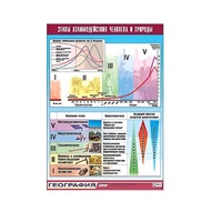 Таблица демонстрационная "Этапы взаимодействия человека и природы" (винил 70x100) - «globural.ru» - Брянск
