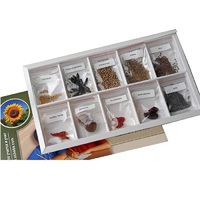 Коллекция "Плоды сельскохозяйственных растений" (вариант 2) - «globural.ru» - Брянск