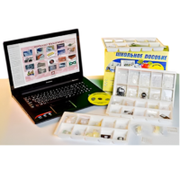 Коллекция натурально-интерактивная "Пластмассы" - «globural.ru» - Брянск