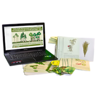 Гербарий натурально-интерактивный "Растительные сообщества. Лес" - «globural.ru» - Брянск