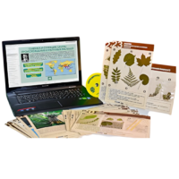 Гербарий натурально-интерактивный к курсу основ общей биологии - «globural.ru» - Брянск