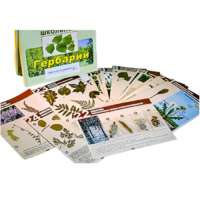 Гербарий к курсу основ общей биологии - «globural.ru» - Брянск