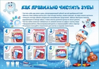 Стенд "Как правильно чистить зубы" - «globural.ru» - Брянск