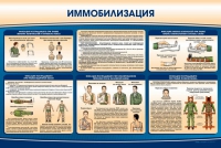 Стенд "Иммобилизация" - «globural.ru» - Брянск