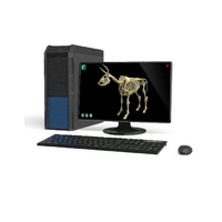 Макет масштабный «Скелет Коровы» Масштаб 1:2 - «globural.ru» - Брянск