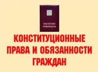 Комплект плакатов "Конституционные права и обязанности граждан" - «globural.ru» - Брянск