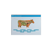 Стенд-планшет светодинамический "Изучение нервной системы сельскохозяйственных животных" со сменными панелями - «globural.ru» - Брянск