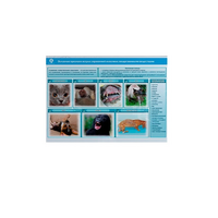 Стенд-планшет светодинамический «Острые отравления животных лекарственными препаратами» - «globural.ru» - Брянск