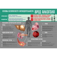 Стенд "Алкоголь" - «globural.ru» - Брянск