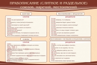 Стенд "Правописание союзов наречий местоимений" - «globural.ru» - Брянск