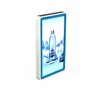 Видеопанель PROMO WALL 55 - «globural.ru» - Брянск