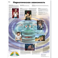 Плакат "Наркотическая зависимость", ламинированный, 50*67 см - «globural.ru» - Брянск