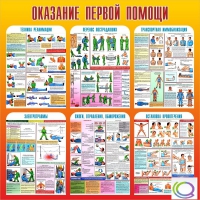 Стенд "Оказание первой помощи" - «globural.ru» - Брянск