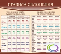 Стенд "Правила склонения" - «globural.ru» - Брянск