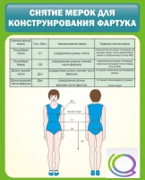 Стенд "Снятие мерок для конструирования фартука" - «globural.ru» - Брянск